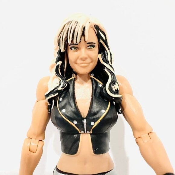 WWE Mattel Kaitlyn Series 36 #12 Wrestling Figure 2014 - Picture 2 of 3
